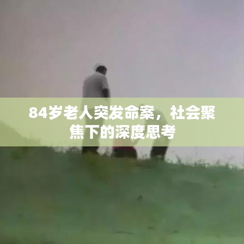 风流儒雅