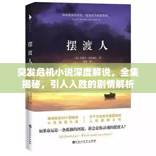 突发危机小说深度解说，全集揭秘，引人入胜的剧情解析