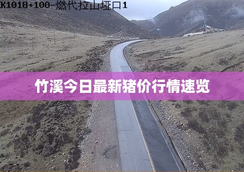 蠉飞蠕动
