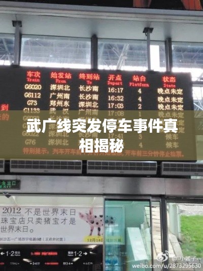 展翅高飞