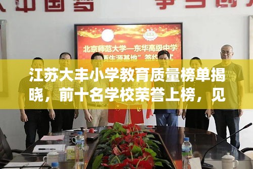 江苏大丰小学教育质量榜单揭晓，前十名学校荣誉上榜，见证教育质量之巅