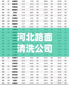 河北路面清洗公司权威排名榜单揭晓！