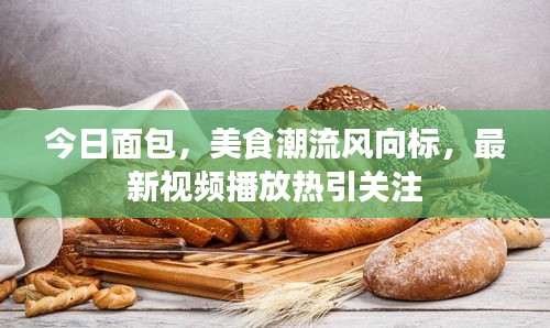 今日面包，美食潮流风向标，最新视频播放热引关注