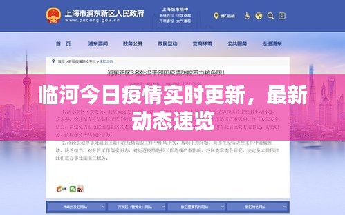 临河今日疫情实时更新，最新动态速览