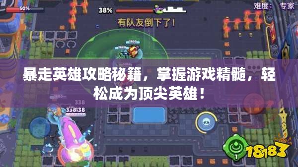 暴走英雄攻略秘籍，掌握游戏精髓，轻松成为顶尖英雄！