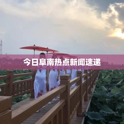 今日阜南热点新闻速递