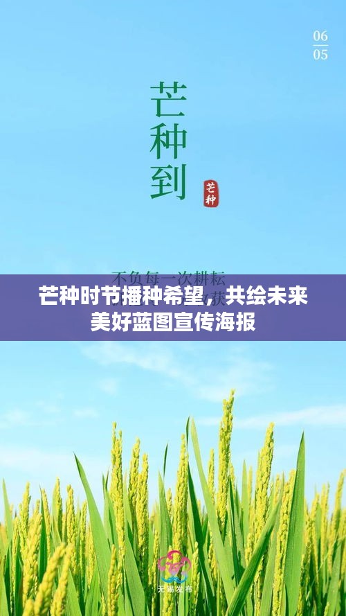 芒种时节播种希望，共绘未来美好蓝图宣传海报