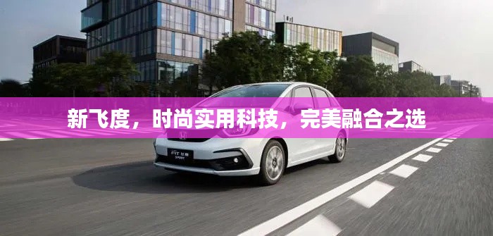 新飞度，时尚实用科技，完美融合之选
