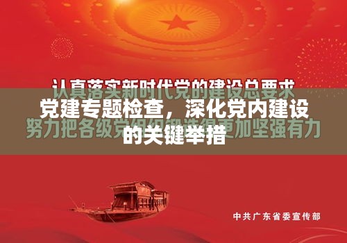 党建专题检查，深化党内建设的关键举措