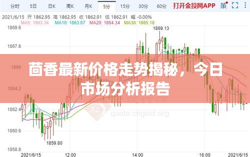 茴香最新价格走势揭秘，今日市场分析报告