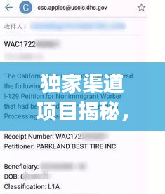 独家渠道项目揭秘，成功要素一网打尽