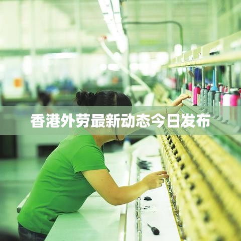 香港外劳最新动态今日发布
