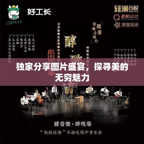 独家分享图片盛宴，探寻美的无穷魅力