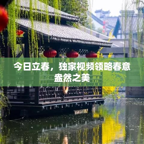 今日立春，独家视频领略春意盎然之美