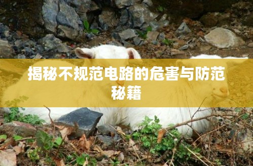揭秘不规范电路的危害与防范秘籍