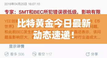 比特黄金今日最新动态速递！