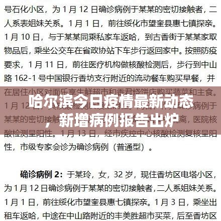 哈尔滨今日疫情最新动态，新增病例报告出炉
