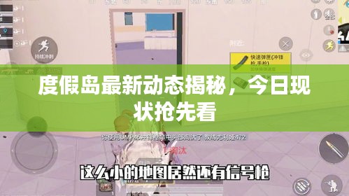 度假岛最新动态揭秘，今日现状抢先看