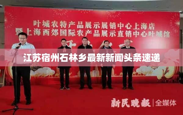 江苏宿州石林乡最新新闻头条速递