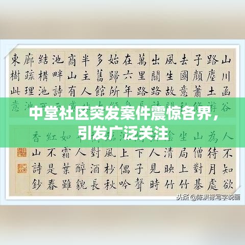 中堂社区突发案件震惊各界，引发广泛关注