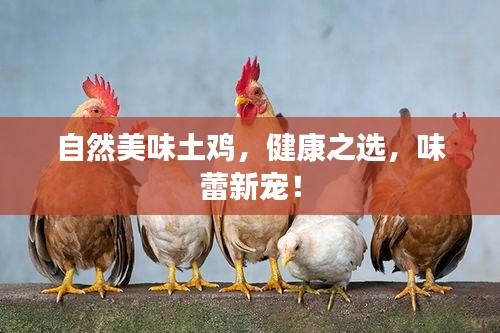 自然美味土鸡，健康之选，味蕾新宠！