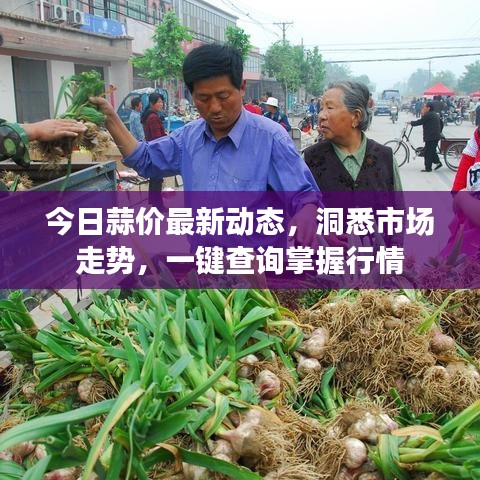 张牙舞爪