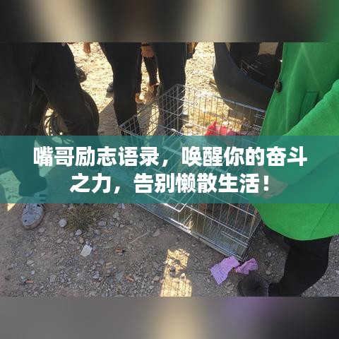 张袂如阴
