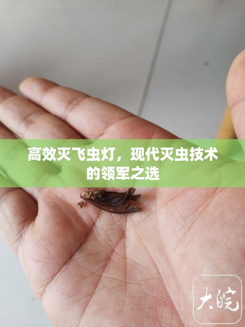 范张鸡黍