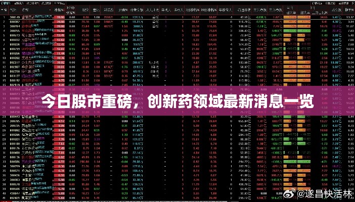 明夷于飞