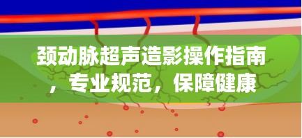 颈动脉超声造影操作指南，专业规范，保障健康