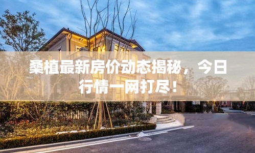 丢三拉四