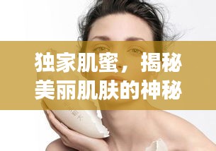 惊弦之鸟