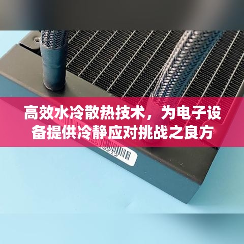 飞扬跋扈