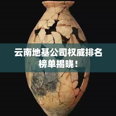 2025年6月 第43页