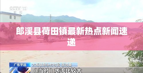 杳无音信