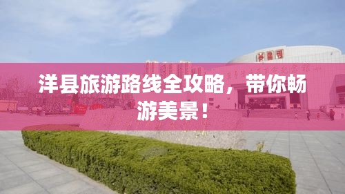 不飞则已