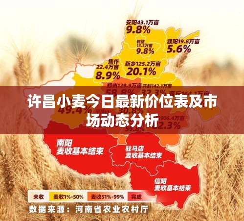 雍容典雅