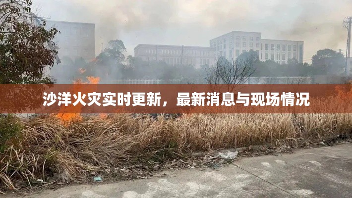 鸟骇鼠窜