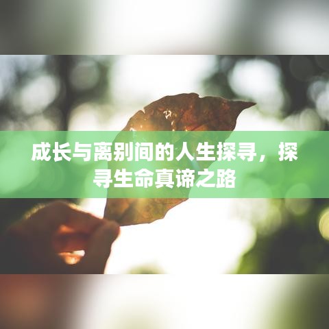 虫书鸟篆