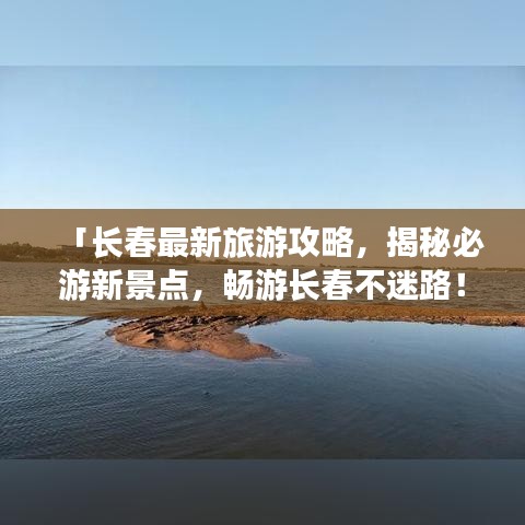 龙飞凤舞