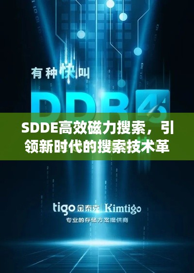 SDDE高效磁力搜索，引领新时代的搜索技术革新